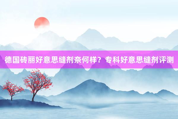 德国砖丽好意思缝剂奈何样？专科好意思缝剂评测